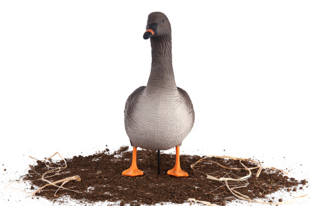 Комплект из 10 шт (6 кормящихся, 2 сторожевых, 2 отдыхающих) сминаемых чучел Гуменника Softplast 3D North Way купить в интернет-магазине ХантингАрт