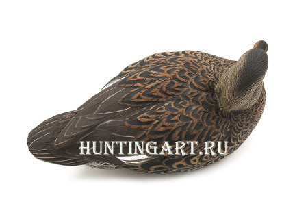 Картинка Комплект Avian-X Topflight Gadwall из 6 чучел серой утки (4 селезня/2 утка) от интернет-магазина ХантингАрт Комплект Avian-X Topflight Gadwall из 6 чучел серой утки (4 селезня/2 утка) купить в магазине Хантингарт