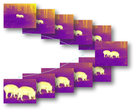 Тепловизионный монокуляр TK421 купить в интернет-магазине ХантингАрт