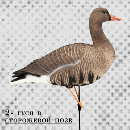 Белолобый гусь Speckbelly Goose Магнум, мягкий пластик 10шт (8+2) купить в интернет-магазине ХантингАрт