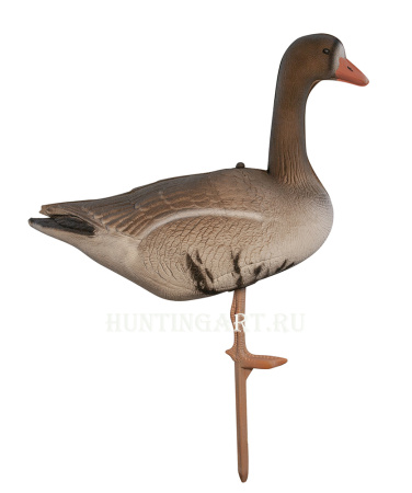 Картинка Комплект Birdland из 6 шт складных Белолобых чучел на опоре-стойке от интернет-магазина ХантингАрт Комплект Birdland из 6 шт складных Белолобых чучел на опоре-стойке купить в интернет-магазине ХантингАрт