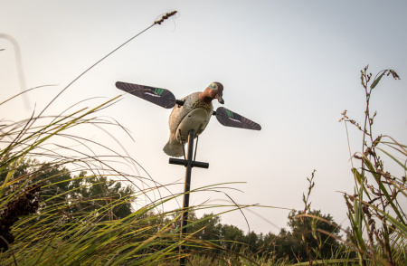 Чучело чирка с вращающимися крыльями Lucky Teal HD купить в интерент-магазине Хантингарт