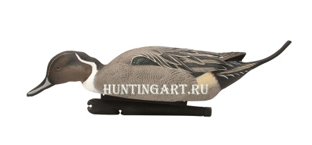 Картинка Комплект Avian-X Topflight Pintails из 6 шт (4 селезня/2 утки) чучел Шилохвости от интернет-магазина ХантингАрт Комплект Avian-X Topflight Pintails из 6 шт (4 селезня/2 утки) чучел Шилохвости купить в магазине Хантингарт