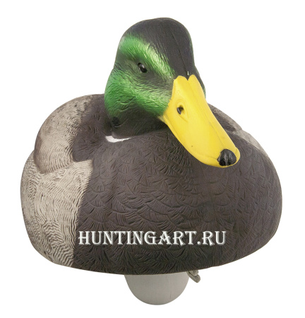 Картинка Комплект из 12 чучел Кряквы Hard Core (8 селезней/4 утки) от интернет-магазина ХантингАрт Комплект из 12 чучел Кряквы Hard Core (8 селезней/4 утки) купить в магазине Хантингарт