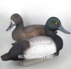 Картинка Комплект чучел 62 Breite - Чернеть морская: 1шт (селезень), 1шт (утка) от интернет-магазина ХантингАрт Комплект чучел 62 Breite - Чернеть морская: 1шт (селезень), 1шт (утка) купить в магазине Хантингарт