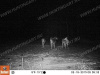 Камера Bushnell Trophy Cam HD Essential, 3,5-12 Мп купить в интернет-магазине ХантингАрт