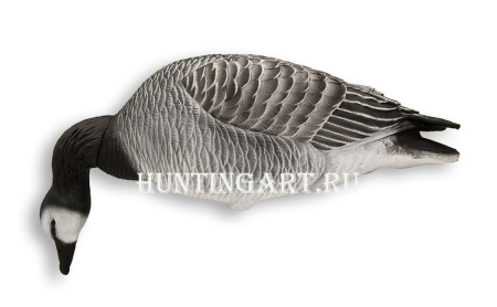 Казарка гусь Avian-Mix Elite 3D, комплект 6шт купить в интернет-магазине ХантингАрт