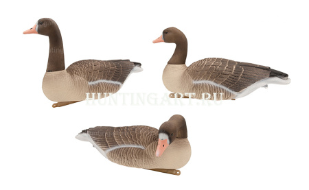 Комплект плавающих чучел Белолобого гуся Floater White fronted goose 3D Oscar Decoys, 6 шт в трех позах купить в интернет-магазине ХантингАрт