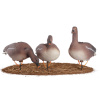 Комплект сминаемых чучел Гуменник Гусь North Way Softplast "A" (3-кормящихся, 2-отдыхающих, 1-сторожевой) купить в интернет-магазине ХантингАрт