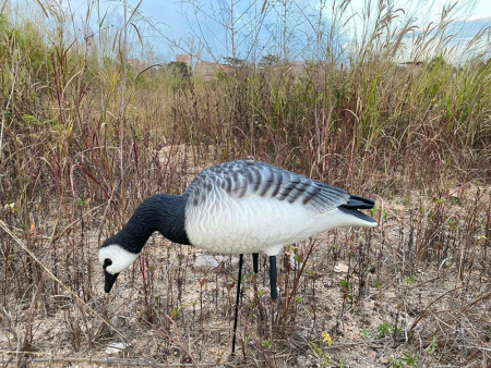 Казарка гусь Elite 3D Barnacles Goose, комплект 10 шт (8+2) мягкий пластик купить в интернет-магазине ХантингАрт