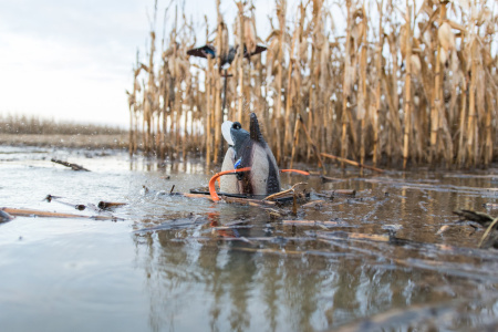 Чучело кряквы Lucky Duck с вращающимся разбрызгивателем - Lucky Dabbler купить в интерент-магазине Хантингарт