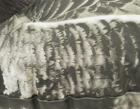 Надувные полевые чучела Белолобый гусь, 6шт - купить в Санкт-Петербурге