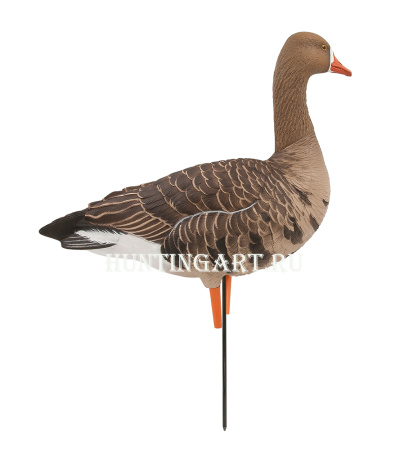 Комплект Avian-X из 6 полноразмерных чучел белолобого гуся с сумкой купить в интернет-магазине ХантингАрт