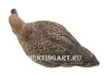 Картинка Комплект Avian-X Topflight Pintails из 6 шт (4 селезня/2 утки) чучел Шилохвости от интернет-магазина ХантингАрт Комплект Avian-X Topflight Pintails из 6 шт (4 селезня/2 утки) чучел Шилохвости купить в магазине Хантингарт