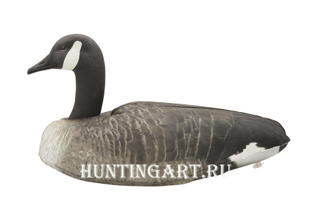Картинка Надувные чучела Канадской казарки 6шт Cherokee Sport от интернет-магазина ХантингАрт Надувные чучела Канадской казарки 6шт Cherokee Sport купить в интернет-магазине ХантингАрт