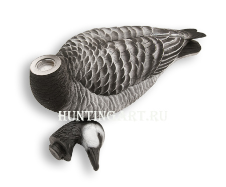 Казарка гусь Avian-Mix Elite 3D, комплект 6шт купить в интернет-магазине ХантингАрт