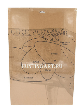 Мишень картонная Birchwood Shoot•N•C® олень с самопроявляющимися при попадании сменными мишенями для стрельбы купить в интернет-магазине Хантингарт