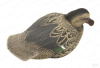 Комплект чучел утки Широконоска Shovelers Over-Size GreenHead (4 селезня, 2 утки) купить в магазине Хантингарт