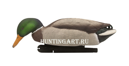 Комплект Avian-X Topflight Back Water Mallards из 6 кормящихся чучел кряквы (4 селезня/2 утки) купить в магазине Хантингарт