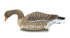 Плавающие чучела Серого гуся Floater Greylag Goose (мягкий пластик), 6 шт в трех позах купить в интернет-магазине ХантингАрт