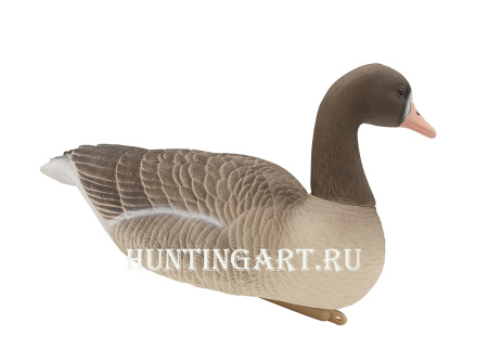 Комплект плавающих чучел Белолобого гуся Floater White fronted goose 3D Oscar Decoys, 6 шт в трех позах купить в интернет-магазине ХантингАрт