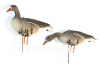 Комплект Art Specked Belly Goose из 10 сминаемых чучел Белолобого гуся (8 кормящихся + 2 сторожевых) купить в интернет-магазине ХантингАрт