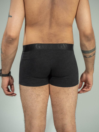 Трусы боксеры Green Washtag от производителя Green Washtag