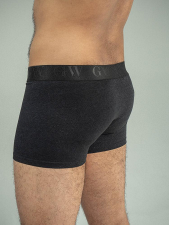 Трусы боксеры Green Washtag от производителя Green Washtag