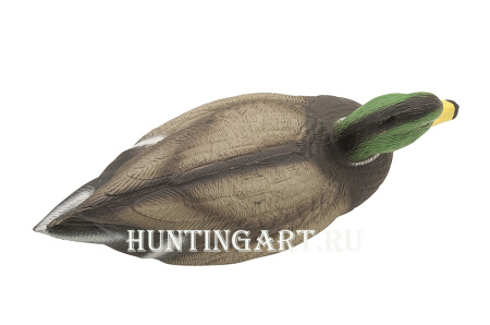 Чучело кряквы плавающей, селезень, Birdland купить в магазине Хантингарт