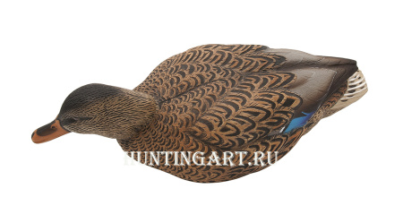Комплект Avian-X Topflight Back Water Mallards из 6 кормящихся чучел кряквы (4 селезня/2 утки) купить в магазине Хантингарт