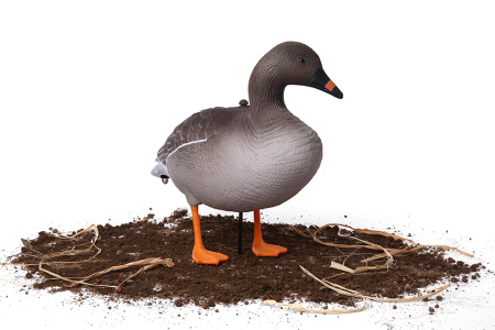 Комплект из 10 шт (6 кормящихся, 2 сторожевых, 2 отдыхающих) сминаемых чучел Гуменника Softplast 3D North Way купить в интернет-магазине ХантингАрт