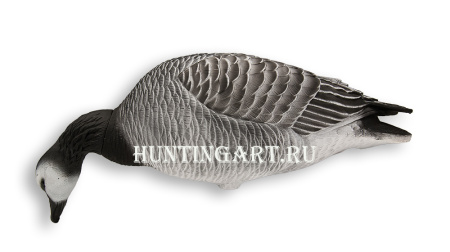 Казарка гусь Avian-Mix Elite 3D, комплект 6шт купить в интернет-магазине ХантингАрт