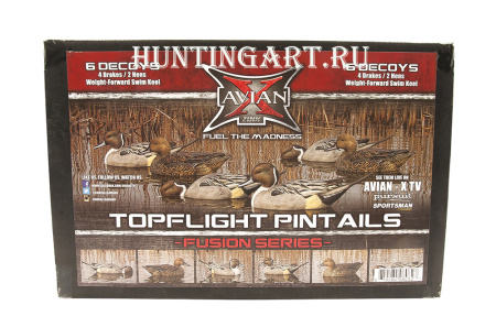 Картинка Комплект Avian-X Topflight Pintails из 6 шт (4 селезня/2 утки) чучел Шилохвости от интернет-магазина ХантингАрт Комплект Avian-X Topflight Pintails из 6 шт (4 селезня/2 утки) чучел Шилохвости купить в магазине Хантингарт