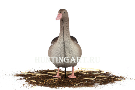 Комплект 10 шт (6 кормящихся, 2 сторожевых, 2 отдыхающих) сминаемых чучел Серого гуся 3D S-XPE North Way купить в интернет-магазине ХантингАрт