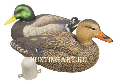 Картинка Комплект из 12 чучел Кряквы Hard Core (8 селезней/4 утки) от интернет-магазина ХантингАрт Комплект из 12 чучел Кряквы Hard Core (8 селезней/4 утки) купить в магазине Хантингарт