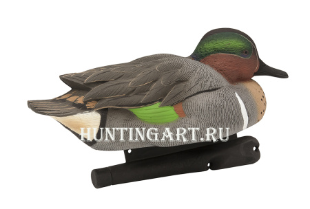 Комплект Avian-X из 6 чучел чирков - Topflight Green-Winged Teal (4 селезня/2 утки) купить в магазине Хантингарт