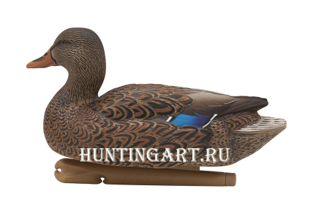 Комплект Avian-X Topflight Open Water Mallards из 6 кормящихся чучел кряквы купить в магазине Хантингарт