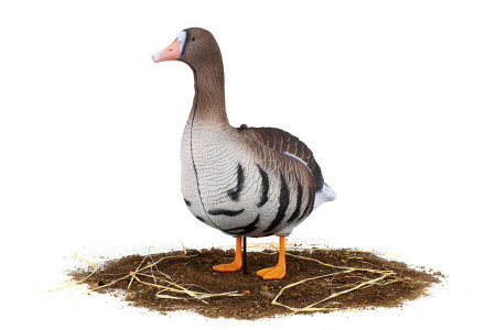 Комплект из 10 сминаемых чучел Белолобого гуся (6 кормящихся+2 отдыхающих+2 сторожевых) North Way SuperXPE 3D (Антиблик) купить в интернет-магазине ХантингАрт