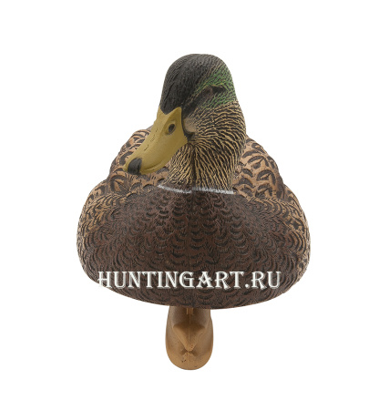 Картинка Комплект Avian-X Early Season Topflight Mallards (ранний сезон) из 6 чучел кряквы (4 селезня/2 утки) от интернет-магазина ХантингАрт Комплект Avian-X Early Season Topflight Mallards (ранний сезон) из 6 чучел кряквы (4 селезня/2 утки) купить в магазине Хантингарт