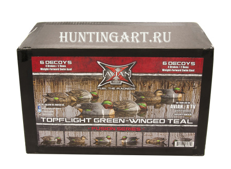 Комплект Avian-X из 6 чучел чирков - Topflight Green-Winged Teal (4 селезня/2 утки) купить в магазине Хантингарт