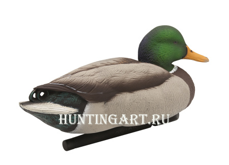 Комплект Avian-X Topflight Open Water Mallards из 6 кормящихся чучел кряквы купить в магазине Хантингарт