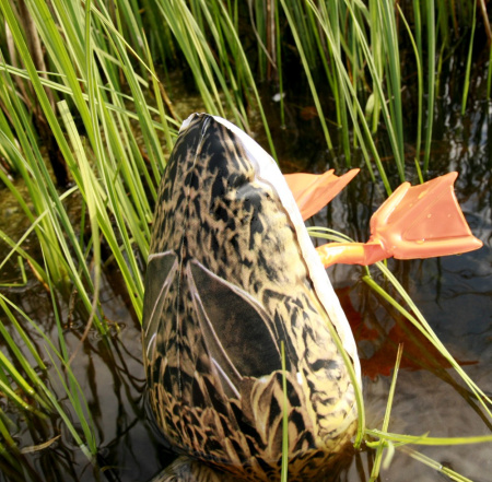 Надувные чучела уток Кряква Cherokee-Sports (3 шт) купить в магазине Хантингарт