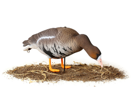 Чучела Белолобого гуся North Way Softplast Альфа, 6 штук (3 кормящихся,1 сторож,2 отдыхающих) купить в интернет-магазине ХантингАрт