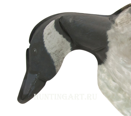 Надувное фотореалистичное чучело Канадской казарки (кормящийся / сторожевой) купить в интернет-магазине ХантингАрт