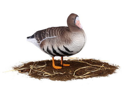 Комплект из 10 сминаемых чучел Белолобого гуся (6 кормящихся+2 отдыхающих+2 сторожевых) North Way SuperXPE 3D (Антиблик) купить в интернет-магазине ХантингАрт