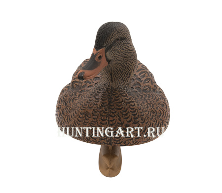 Комплект Avian-X Topflight Open Water Mallards из 6 кормящихся чучел кряквы купить в магазине Хантингарт
