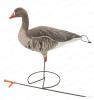 Комплект Pro-Grade из 6 полнокорпусных муляжей Белолобого гуся купить в интернет-магазине ХантингАрт