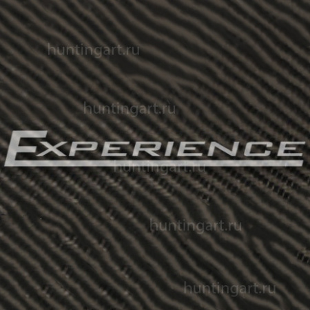 Бланк Norstream Experience EXS-842H 2022 купить в интернет-магазине ХантингАрт