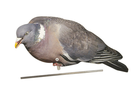 Профили лесного голубя вяхиря 10шт купить в интернет-магазине ХантингАрт