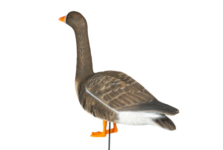 Чучела Белолобого гуся Proplast комплект 6 штук (4 кормящихся, 1 сторожевой, 1 зовущий) купить в интернет-магазине ХантингАрт